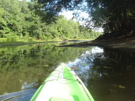 Paddle Withlacoochee River, Iron Bridge