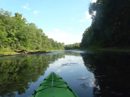 Paddle Withlacoochee River, Iron Bridge