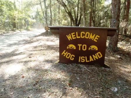 Paddle Withlacoochee River, Hog Island