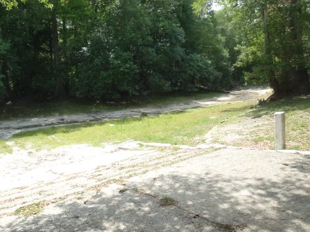 Paddle Withlacoochee River, Hog Island