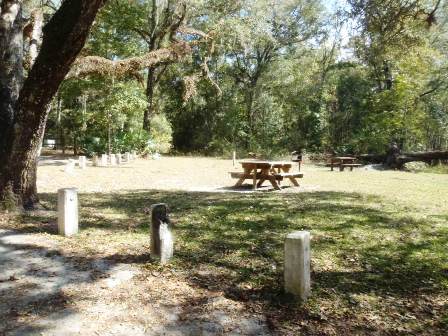 Paddle Withlacoochee River, Hog Island