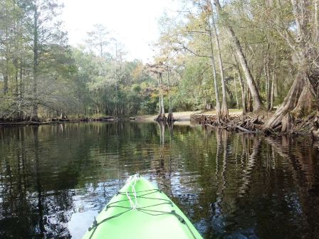 Paddle Withlacoochee River, Hog Island