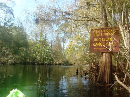 Paddle Withlacoochee River, Hog Island