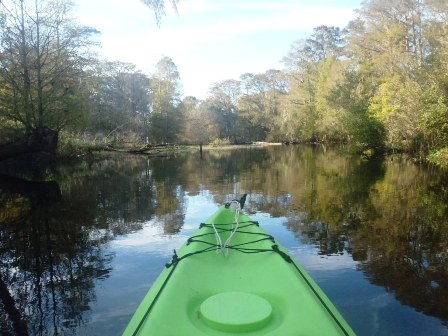 Paddle Withlacoochee River, Hog Island