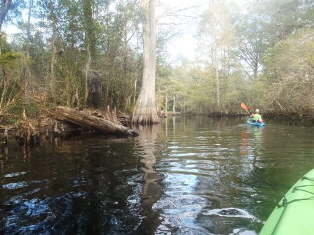 Paddle Withlacoochee River, Hog Island