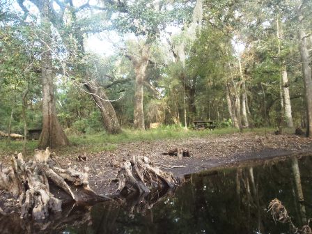 Paddle Withlacoochee River, Hog Island