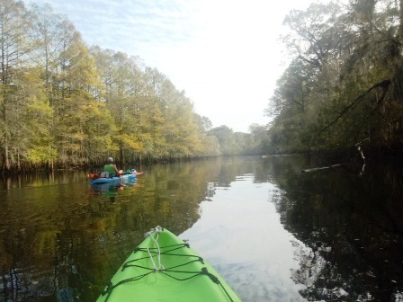 Paddle Withlacoochee River, Hog Island