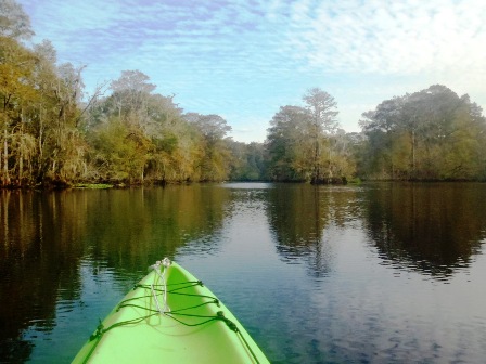 Paddle Withlacoochee River, Hog Island