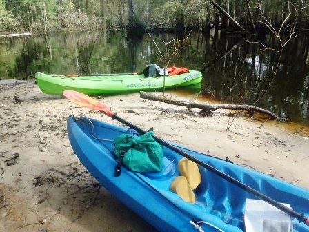 Paddle Withlacoochee River, Hog Island