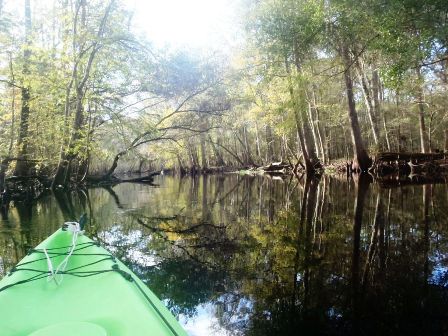 Paddle Withlacoochee River, Hog Island