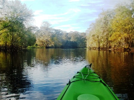 Paddle Withlacoochee River, Hog Island