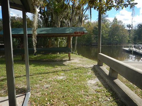 Paddle Withlacoochee River-south, Marsh Bend Outlet Park