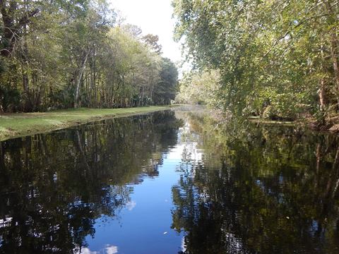 Paddle Withlacoochee River-south, Rutland Park