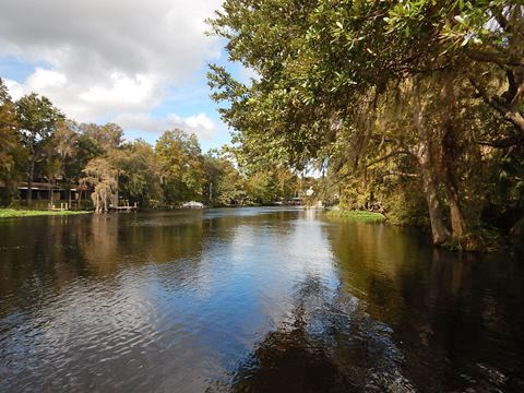 Paddle Withlacoochee River-south, Lake Rousseau