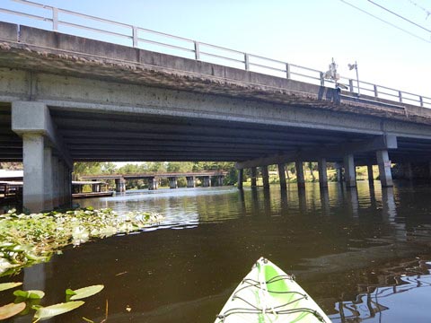 Paddle Withlacoochee River-south, Lake Rousseau