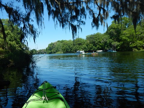 Paddle Withlacoochee River-south, Lake Rousseau