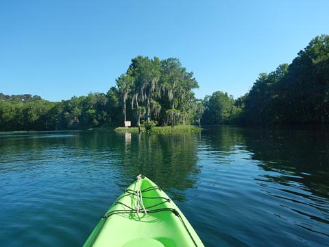 Paddle Withlacoochee River-south, Lake Rousseau