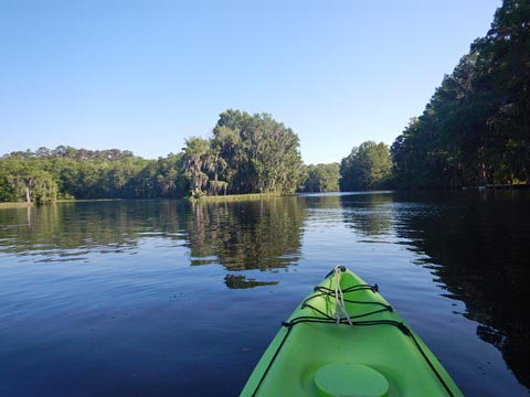 Paddle Withlacoochee River-south, Lake Rousseau