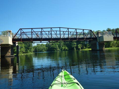 Paddle Withlacoochee River-south, Lake Rousseau