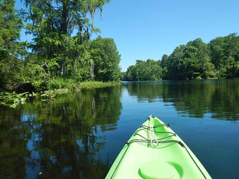 Paddle Withlacoochee River-south, Lake Rousseau