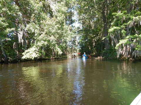 Paddle Withlacoochee River-south, Lake Rousseau