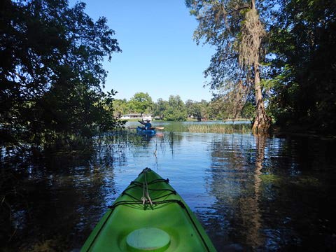 Paddle Withlacoochee River-south, Lake Rousseau