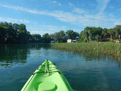 Paddle Withlacoochee River-south, Lake Rousseau