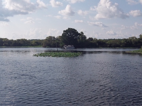 Paddle Withlacoochee River-south, Goldendale Boat Ramp