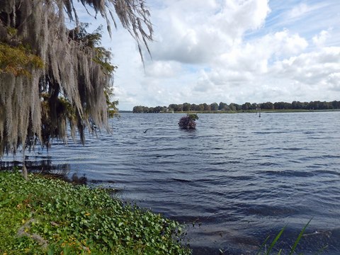 Paddle Withlacoochee River-south, Lake Rousseau, Inglis Dam