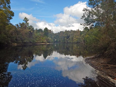 Paddle Withlacoochee River-south, Lake Rousseau, Inglis Dam