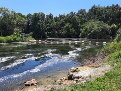 Paddle Withlacoochee River-south, Lake Rousseau, Bypass