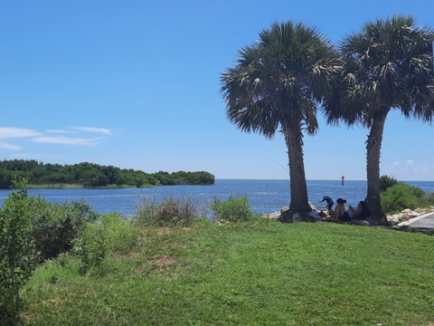 Paddle Withlacoochee River-south, Lake Rousseau, Inglis Dam