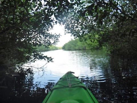 East River, Everglades, Big Cypress