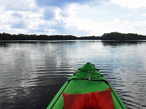 paddling Everglades, East River, kayak, canoe