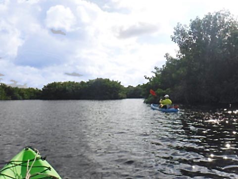 paddling Everglades, East River, kayak, canoe