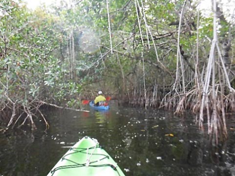 paddling Everglades, East River, kayak, canoe