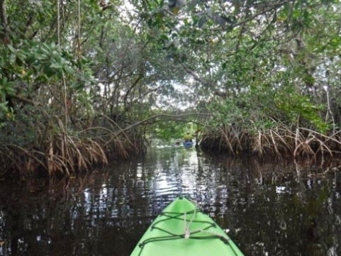 paddling Everglades, East River, kayak, canoe