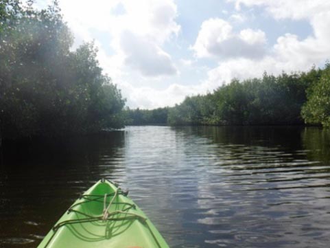 paddling Everglades, East River, kayak, canoe