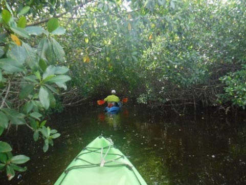 paddling Everglades, East River, kayak, canoe