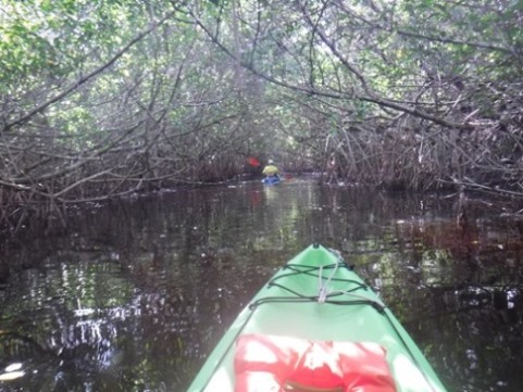 paddling Everglades, East River, kayak, canoe