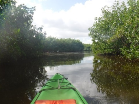 paddling Everglades, East River, kayak, canoe