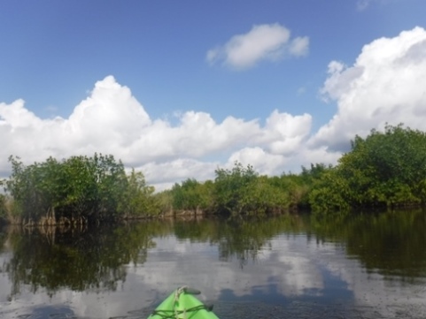 paddling Everglades, East River, kayak, canoe