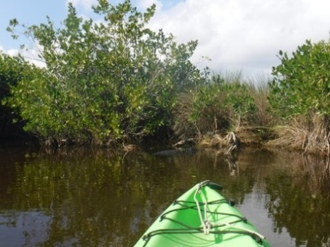 paddling Everglades, East River, kayak, canoe