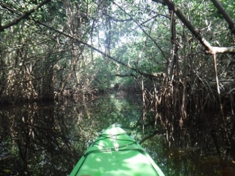 paddling Everglades, East River, kayak, canoe