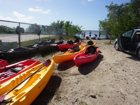 paddling Everglades City, Chokoloskee Bay, kayak, canoe