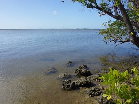 paddling Everglades City, Chokoloskee Bay, kayak, canoe