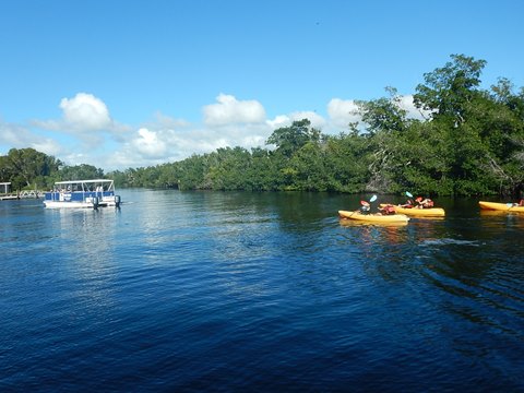 Flamingo, Everglades