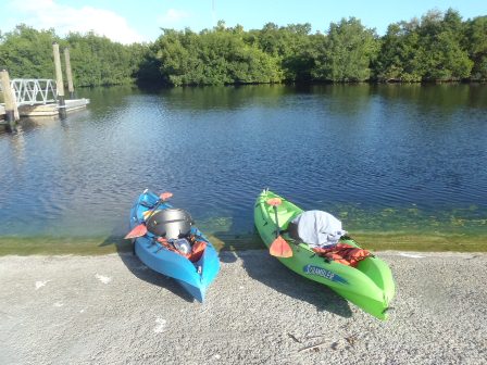 paddling The Everglades, Flamingo, kayak, canoe