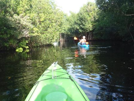 paddling The Everglades, Flamingo, kayak, canoe