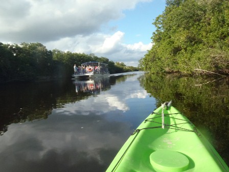 paddling The Everglades, Flamingo, kayak, canoe